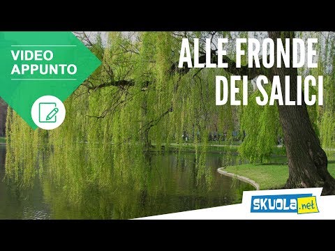 download lagu mp3 mp4 Alle Fronde Dei Salici Testo, download lagu Alle Fronde Dei Salici Testo gratis, unduh video klip Alle Fronde Dei Salici Testo