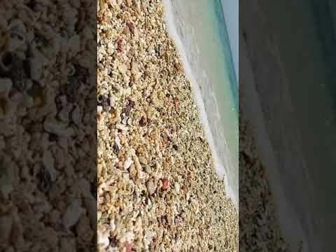 🧿🏝⛵️🚴‍♀🏄‍♀🤿🏊‍♀⚓️⛴🪝⛱🐟🦀🦑and#kish_island#kishi#kishlife#kishvand#