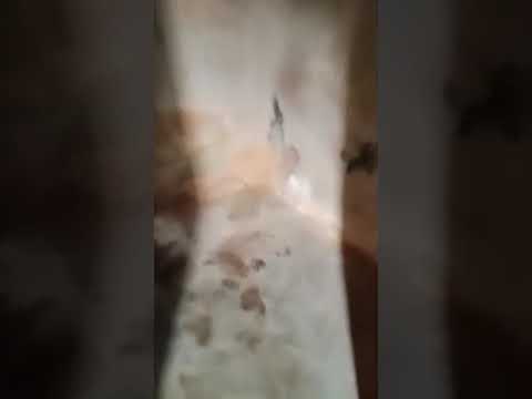 Room Self Contain for Rent in Asorock, Ago Palace, Lagos