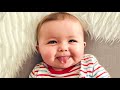 The Cutest Babies Compilation Cute Baby Videos