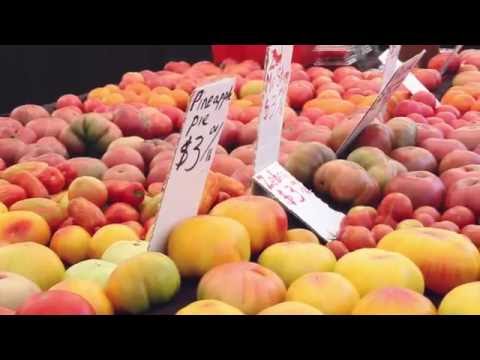 Damn Delicious Cookbook Trailer