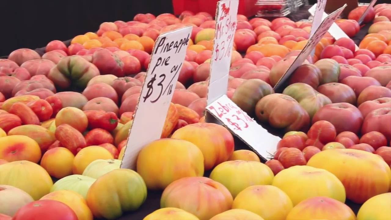 Damn Delicious Cookbook Trailer