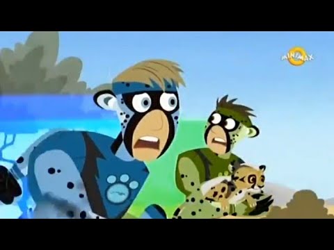 Braca Kret - Usvojeni Geprad