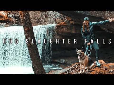 Dog Slaughter Falls | Day Hike | Daniel Boone National Forest Video