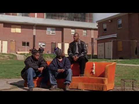 Jack CC - east coast jungle