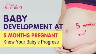 5 Month Pregnant - Know the Baby Development