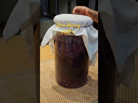 Wine Making | Grape Wine| Part 2 | After 21 days