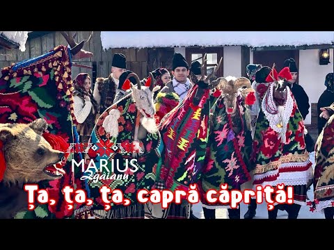 Marius Zgâianu -Ța, ța, ța, capră căpriță!