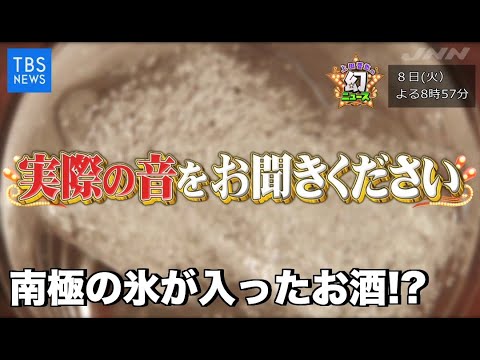 南極での惨事: 研究者たちが悲惨な出来事を観察