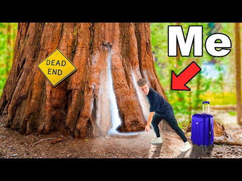 Ich habe in den seltsamsten Baumhäusern der Welt übernachtet!