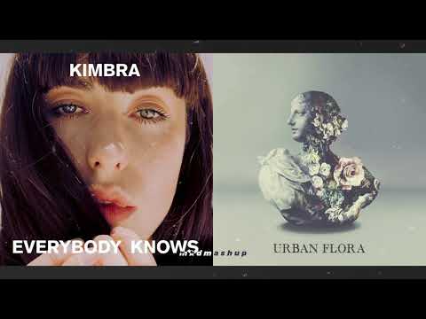 EVERYBODY KNOWS vs. CAN I - Kimbra vs. Alina Baraz, Galimatias [MASHUP]