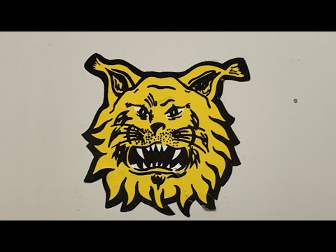 U14 AAA Tappara Sininen-Ilves Detroit