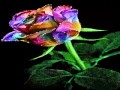 NOW I KNOW - (Jack Jones / Lyrics)