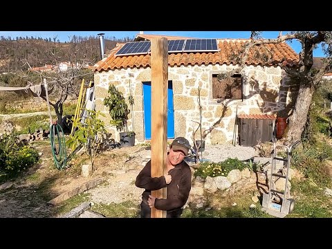 Pergola Woodwork, Important Updates & an Aloe Vera Rescue - Off Grid