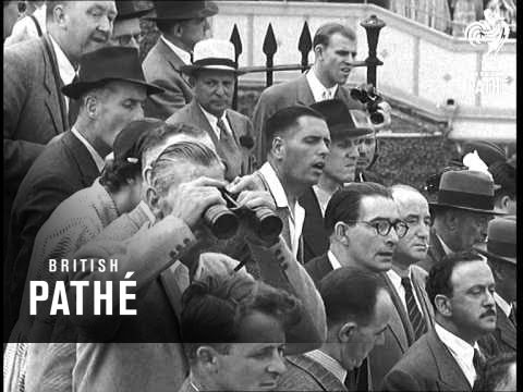 Festival Stakes (1951)