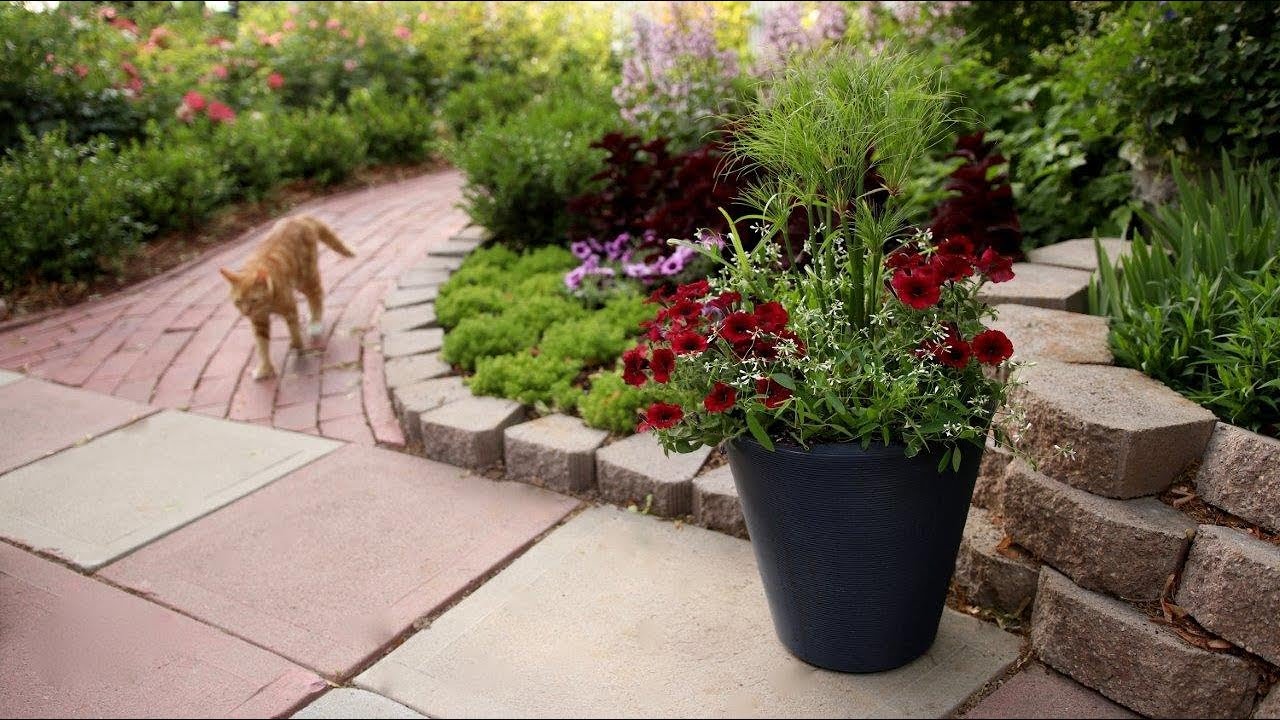 A Simple Red, White and Blue Garden Container