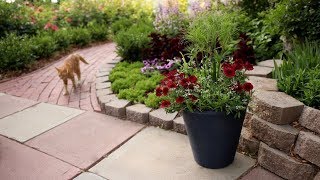 A Simple Red, White and Blue Garden Container