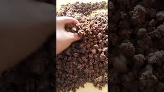 Download lagu Homemade Fermented Soybeans(Kinima)....😋❤️....                   Taste Nepali🇳🇵 Khana🙏 mp3