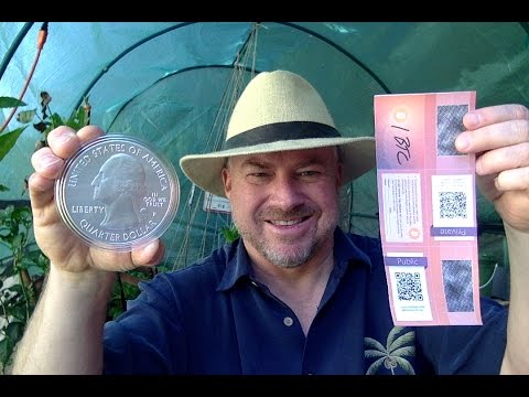 Silver or Bitcoin?? (Bix Weir)