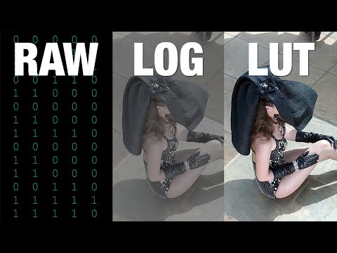 Demystifying RAW, Log, LUTs, and Compression for Cinematic Quality