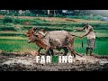 Power of agriculture whatsapp status || agriculture is a future status || #farming