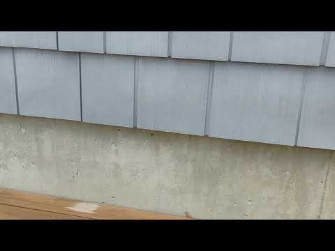 Yellow Jackets Harboring Under Siding in West Windsor, NJ