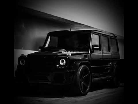 TARA202 - Samosad (2020)