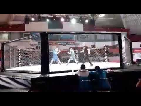 10 апреля 2020 г.