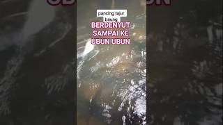 Download lagu sensasi goyangannya berdenyut sampai ke ubun ubun sampai terbawa mimpi mp3