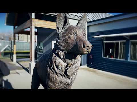 VIRTUAL TOUR - VPD CANINE UNIT