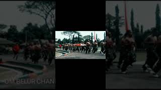 Download lagu STORY WA TNI || LARI SIANG ALA TNI #SHORTS mp3 Download lagu STORY WA TNI || LARI SIANG ALA TNI #SHORTS mp3