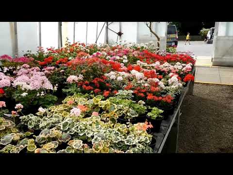 Visit to Fibrex, part 3 .Stock and sales houses.