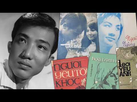 Thế kỷ tình yêu - Nhật Trường