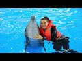 Дельфинарий. Мечта моих 29 лет. Ярославль 2019. Плавание с дельфинами.