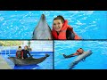 Дельфинарий. Мечта моих 29 лет. Ярославль 2019. Плавание с дельфинами.