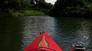 preview picture of video 'Travel Vanuatu: Ecotours kayak adventure'