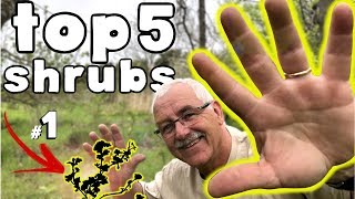 preview picture of video 'TOP 5 Fruiting SHRUBS for your Garden or Permaculture Orchard!'