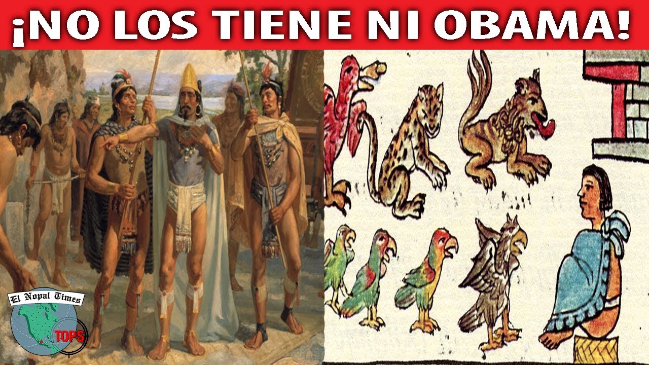 Los LUJOS de Moctezuma que causaron ENVIDIA a los Españoles