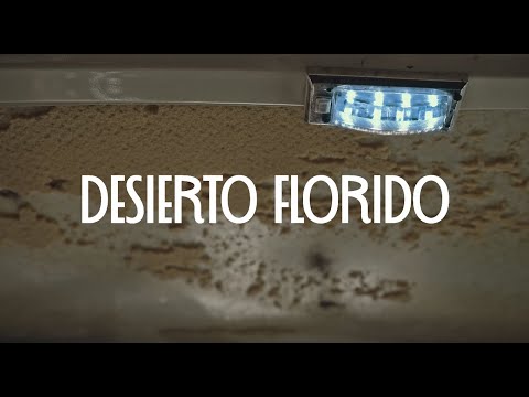 Charly Humos - Desierto Florido (Ft Promaabro, Angelo Soliloquio & Tànatos) Video Oficial