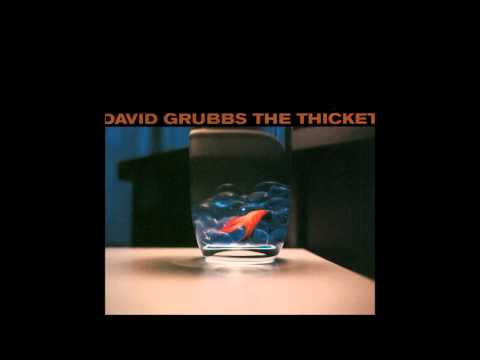 David Grubbs - Buried in the Wall