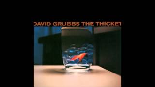 David Grubbs - Buried in the Wall