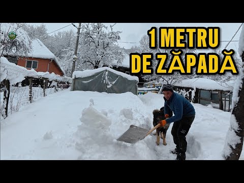 Iarnă Grea în Munții Apuseni – Viața la Sat sub 1 metru de zăpadă