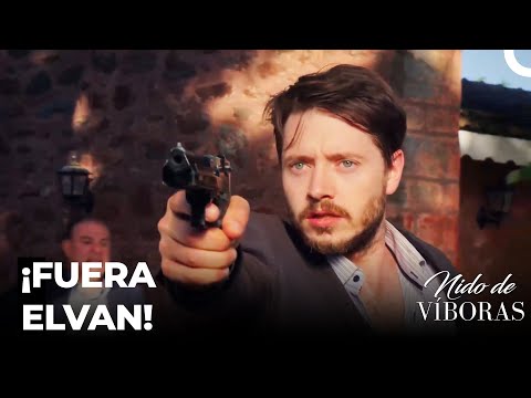 ¡Besir Allanó La Mansión! - Nido De Víboras