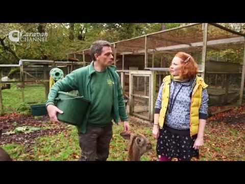 CC S04E33 - TRAVEL & CAMPSITE New Forest, Hampshire