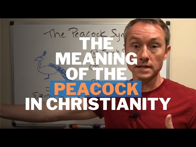 What is the spiritual significance of peacock?