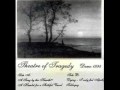 Theatre of Tragedy - Lament of the Perishing Roses