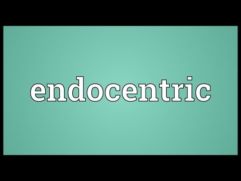 Endocentric Meaning
