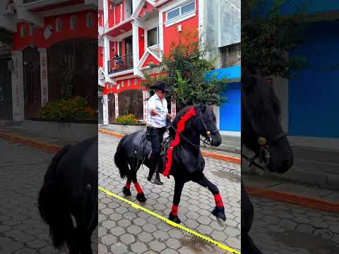 Parte del desfile de la feria agostina en San José Ojetenam 🇬🇹
