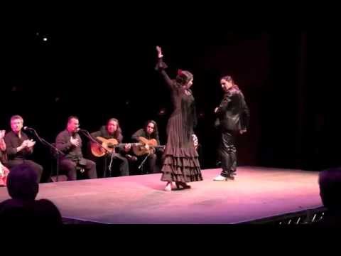 Flamenco Abierto - Siguiriyas