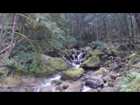 Pratt river connect trail, Alpine lakes wilderness